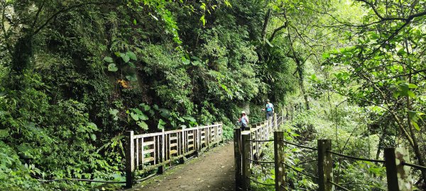 新竹內灣．馬胎古道202506212823502