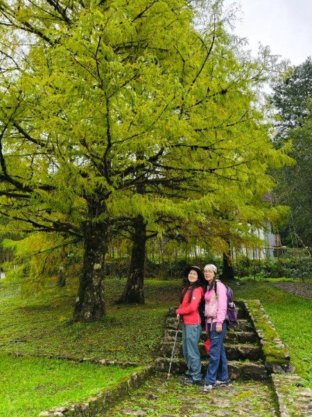 明池森林遊樂區202511152936671