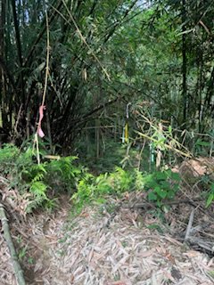 20250517 建安+鳥嘴+雙港子群峰 O型2788286