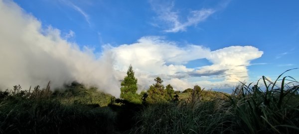 連走大屯山西峰,南峰,主峰1458247