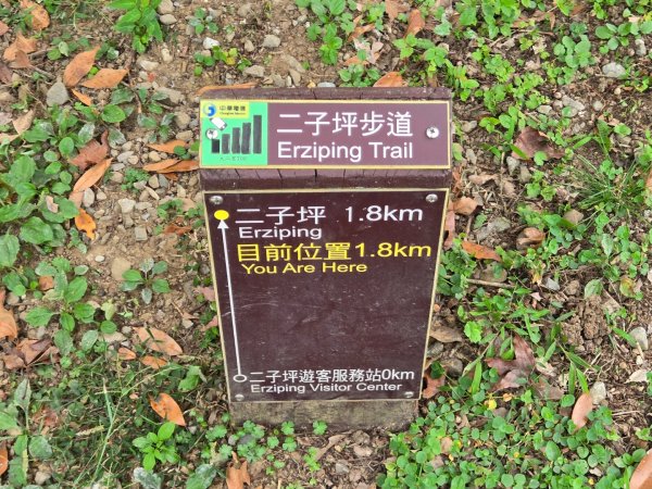 大屯主峰-連峰步道環形（小百岳）2904388