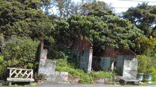 絢麗燦爛的滬尾櫻花大道、景致優美的天元宮874763