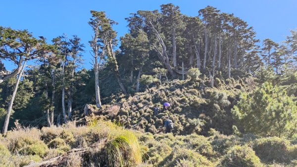 東埔上郡大山下對關山龍貓公車 2024年12月1日2659484