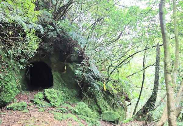 菁桐古道-磐石嶺古道2799102