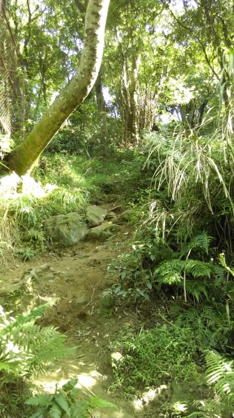 鳶山-福德坑山 105.06.2450366