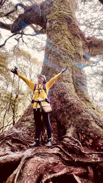 🌈4/13（日）（三）魔法森林-塔曼山~FB：熊熊趴爬走🌈2761310