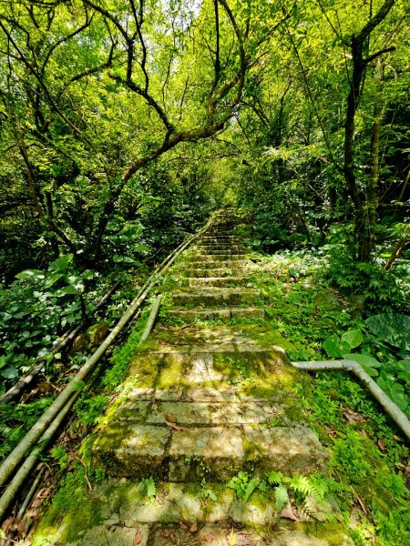 (五分山系)菁桐煤礦-2025微笑山線大縱走尋寶集章任務2855318