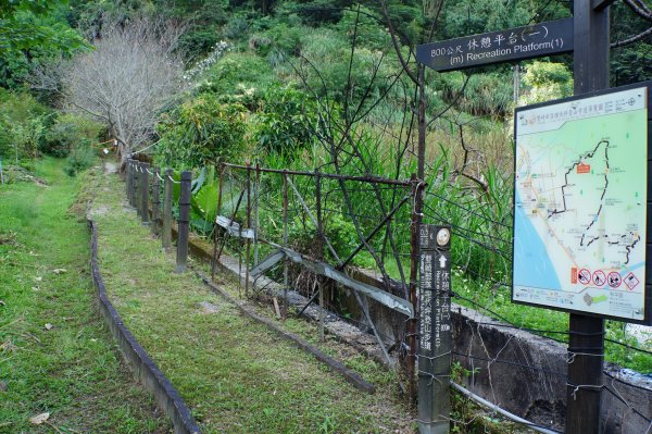 台中 和平 埋伏坪山2924970