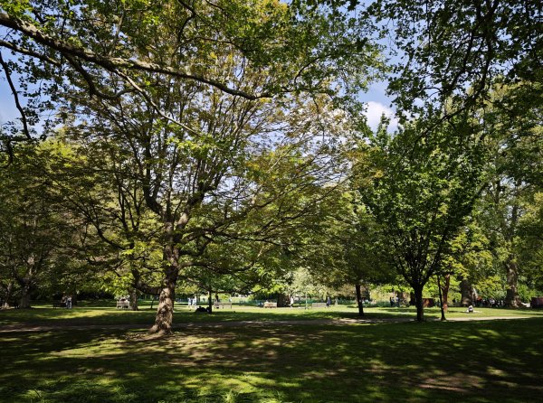 2025_0428 倫敦馬拉松順遊西歐 D10b(白金漢宮)2795174