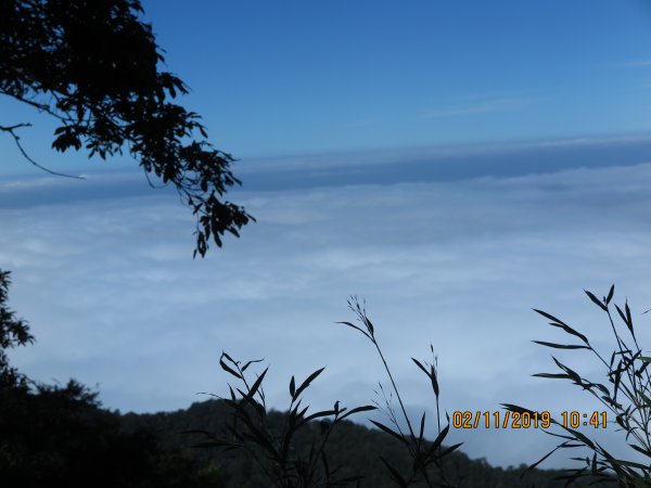 加里山雲海美景725083