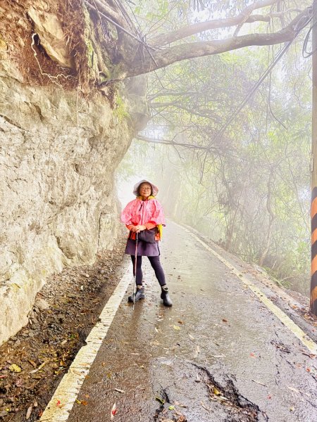 獅山 六寮古道 獅頭獅尾走一圈2992430