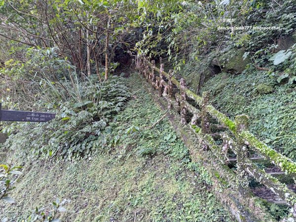 【新北】二格山步道：半小時登頂坐擁大台北2805198