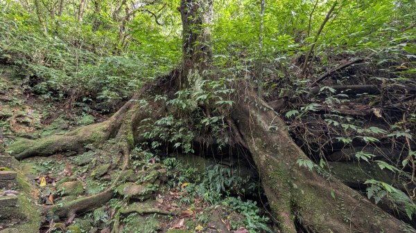 114.11.15平溪小黃山段-望古瀑布段之旅2937789