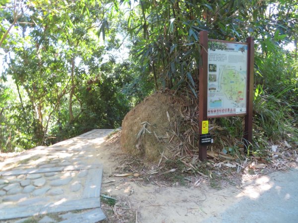 彰化桃源里森林步道+龍鳳谷森林步道2696110