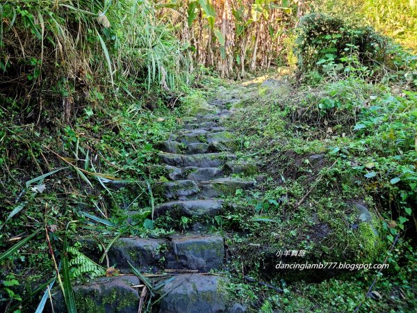 【苗栗】馬那邦山步道~ 聖稜線我終於見到你了1641932