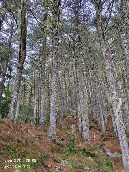 20220625台東海端向陽山、向陽山北峰、三叉山、嘉明湖1745456