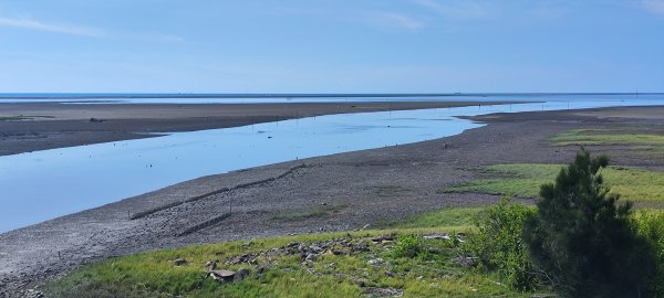 新竹．17公里海岸線202506202833483