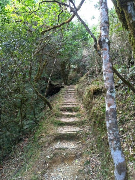 湖光山色－翠峰湖環山步道708035