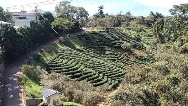 2019.9.29貓蘭山步道之旅1411288