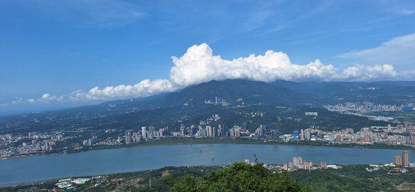 【2024觀音觀鷹尋寶任務】一日走完七條步道完成!2508427