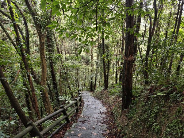 [皮皮獅動物派對-04/10] 2026_0823 騎龍古道3121552