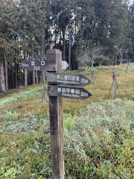 20251225塔山步道(大塔山)2970240