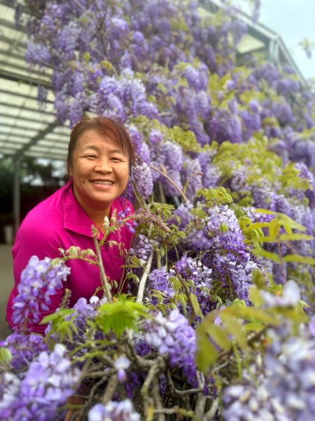 月眉山、海鼠山、生毛樹山、野薑花步道、進學古道3020775