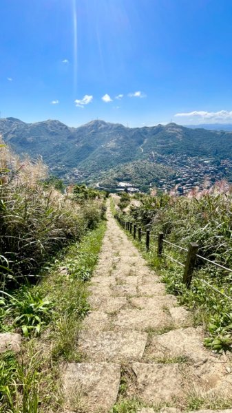 基隆山賞芒趣-山尖步道-百年三層橋-摸乳巷2335450