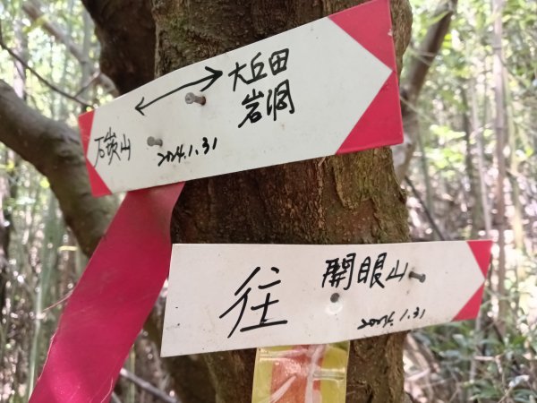 內湖區大丘田保甲路+開眼山+白石湖山+白石湖山東峰+大邱田山+消防山O型2858906