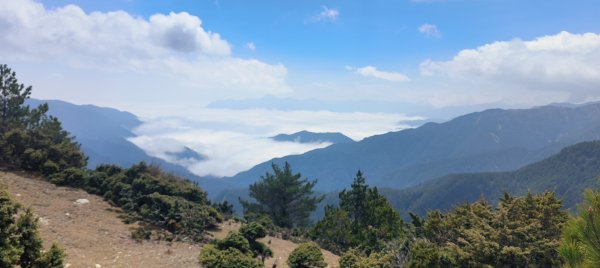 20240320 馬博8天縱走~第五天，馬里亞文路山，馬利加南山2471211