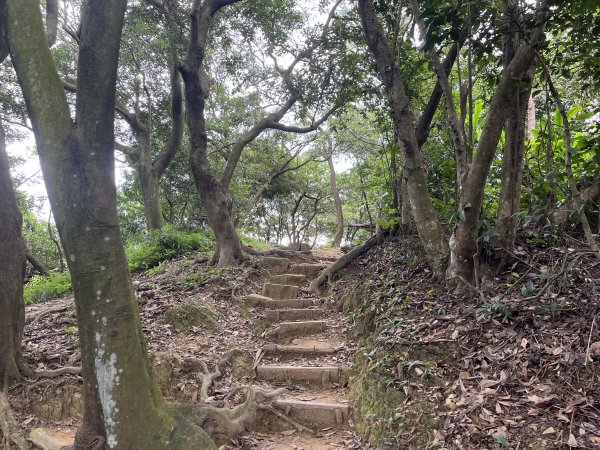 [微笑山線_第一段] 2025_0720 大棟山系_鎮遠山2843570