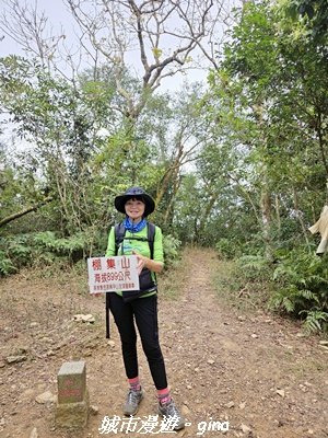 【屏東來義】小百岳棚集山x棚集下山O 繞3013089