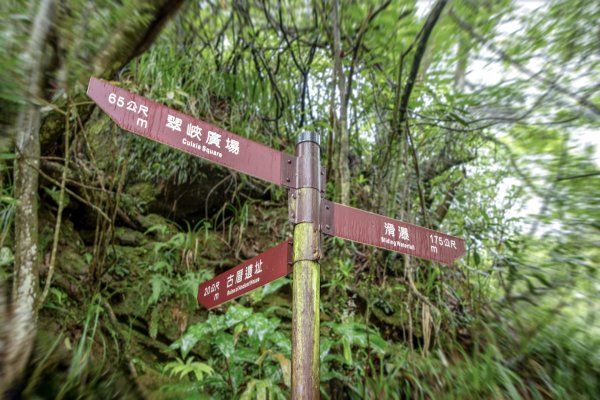 暖東峽谷/草嶺舊隧道2816500