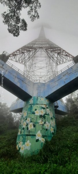 《苗栗》霧雨寒流｜三義三角山步道202512252969227