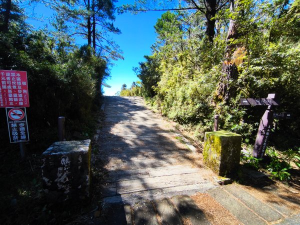 2025-08-24 塔塔加-大鐵杉-鹿林山莊-鹿林前山-鹿林山-黑森林-玉山登山口-上東埔2869084