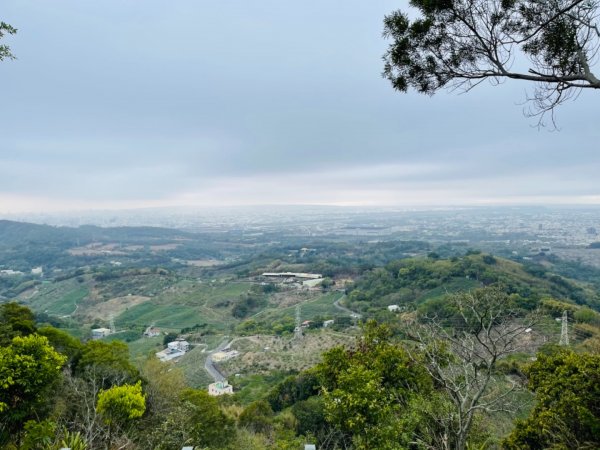 1100306.13鳳凰山.觀音山步道1298238