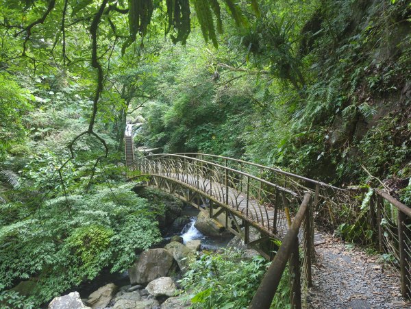 2025.08.09－新寮瀑布2856191