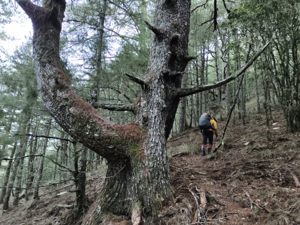 北一段(05/14)南湖南峰 2025_0906~132886500