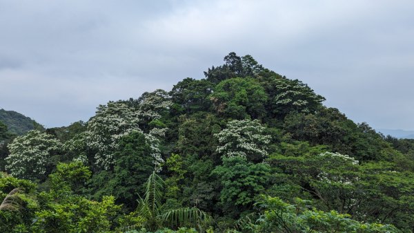 二格山登山步道 栳寮線2500998