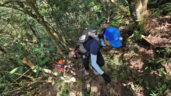 烏桶縱走(烏來山→大桶山)忠治出全紀錄2915227