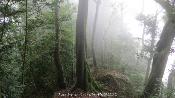 《雲林》望好望角｜石壁山嘉南雲峰步道(中側登山口）202506072805504
