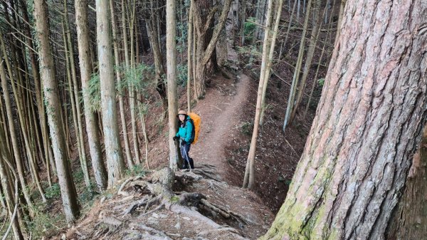 中央尖山四天20260412~153037956