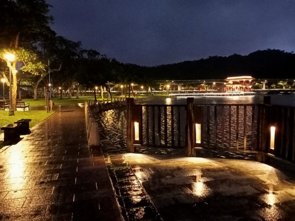 大湖公園《雨中夜行》1904689