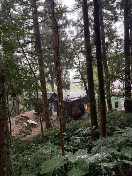 新北 三峽 桃園 復興 東眼山自導式步道2995386