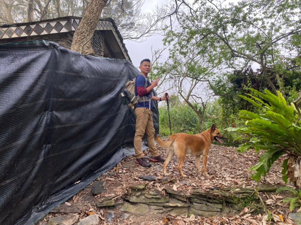 望鄉部落.獵人古道.望美山.瓊山【人與自然山林的恩怨情仇】2731422