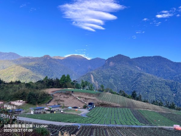 大同加羅湖穆魯洛亞滬庫霞四季警備道2748282