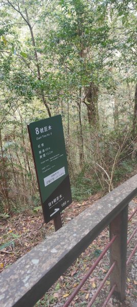 拉拉山國家森林遊樂區2752226