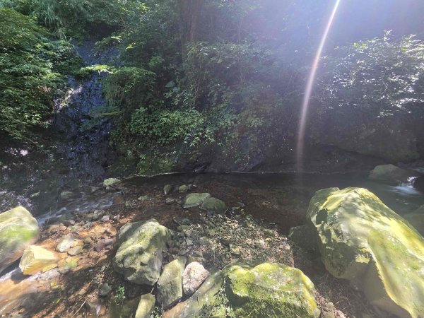 20260831竿尾崙古道-大屯溪古道O型3114821