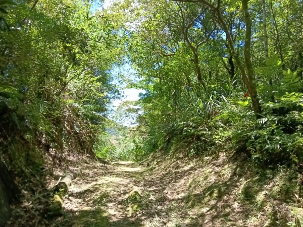 平溪區嶺腳步道+望古坑保甲路+嶺腳寮山+望古賞瀑步道(瀑布)+望古坑古道2825925