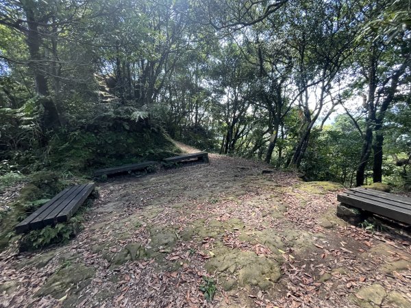 [微笑山線_第九段] 2025_0914 二格山系_天王峰2889581